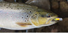 Tsurinoya DW69 Sinking Minnow