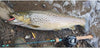 Tsurinoya DW69 Sinking Minnow