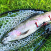 Tsurinoya DW64 Floating Pencil Lure